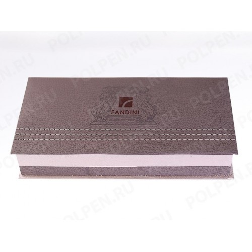 Перьевая ручка FANDINI 301 Black Silver Cell