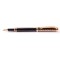 Перьевая ручка FANDINI 303 Black Gold