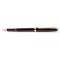 Перьевая ручка FANDINI 308 Black
