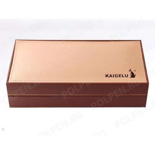 Перьевая ручка KAIGELU 365
